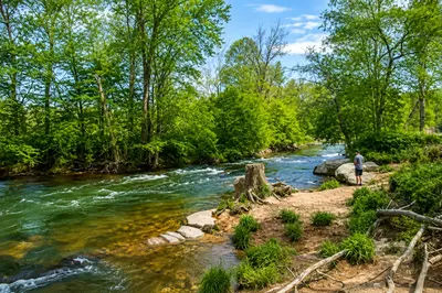 A person fishing along the rocky shoals of the Fisher River near Dobson